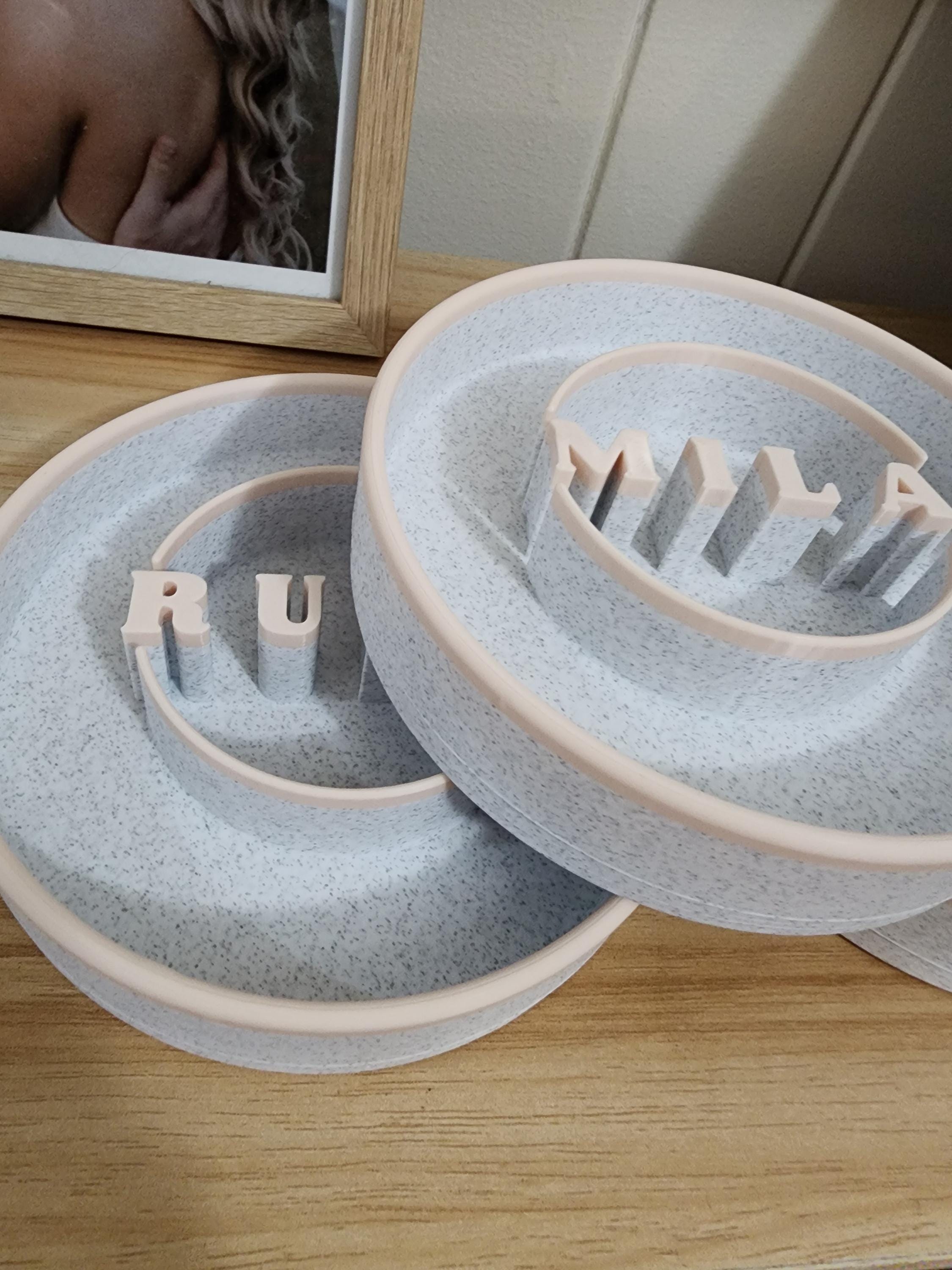 Custom Slow Feeder Pet Bowl