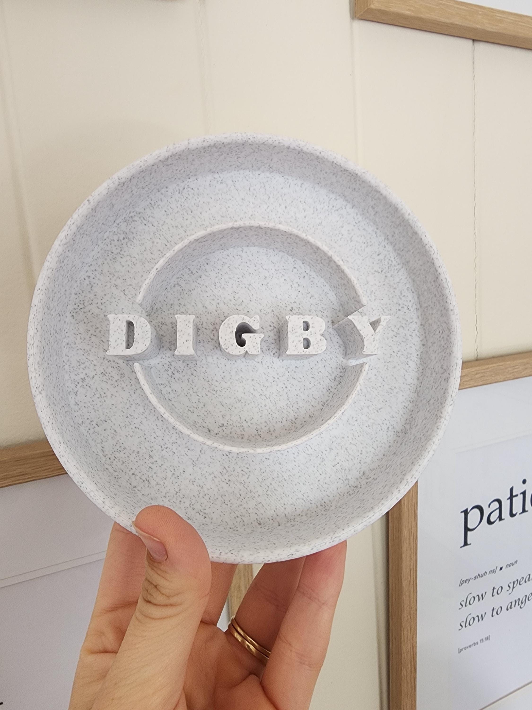 Custom Slow Feeder Pet Bowl
