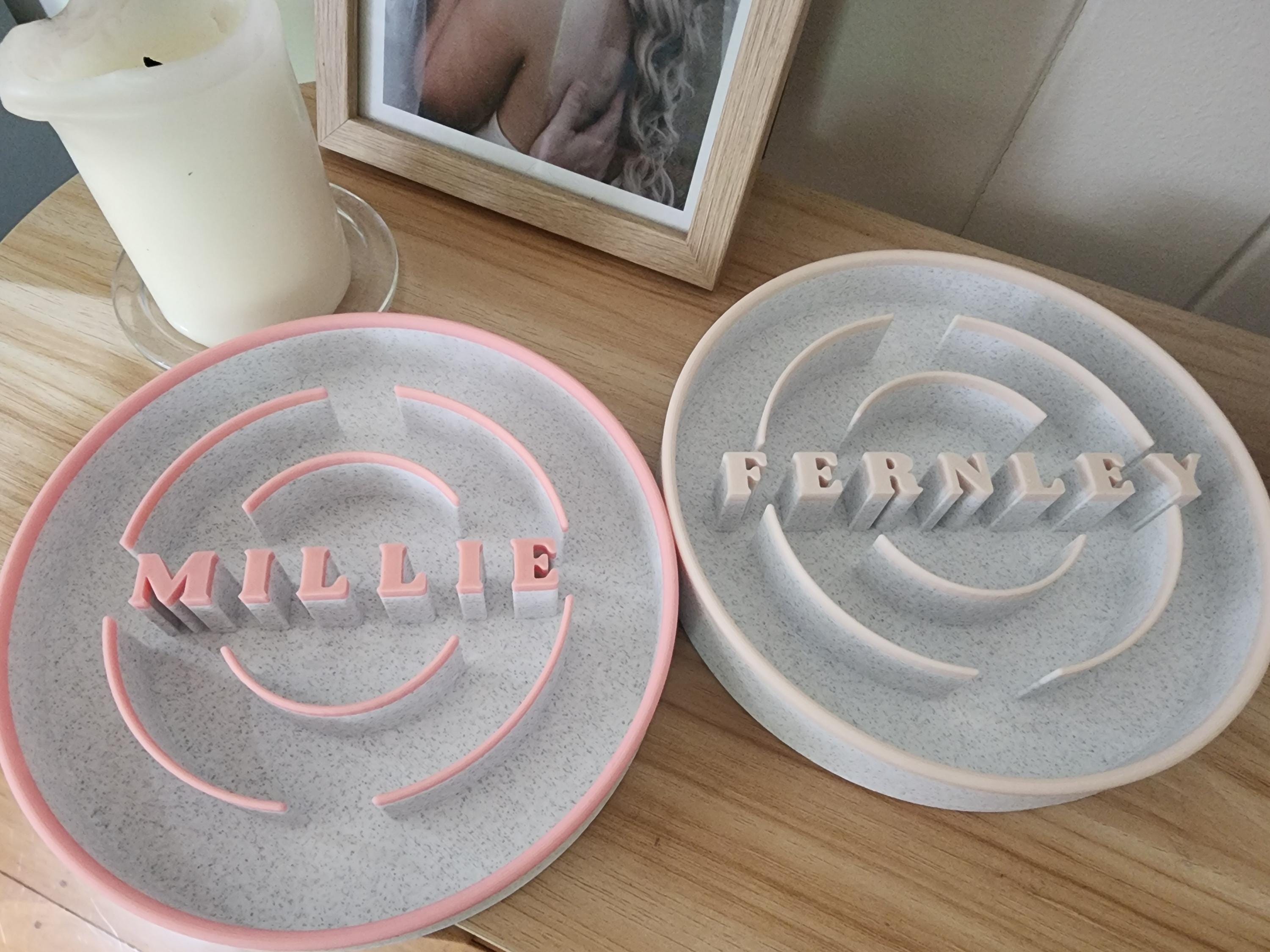 Custom Slow Feeder Pet Bowl