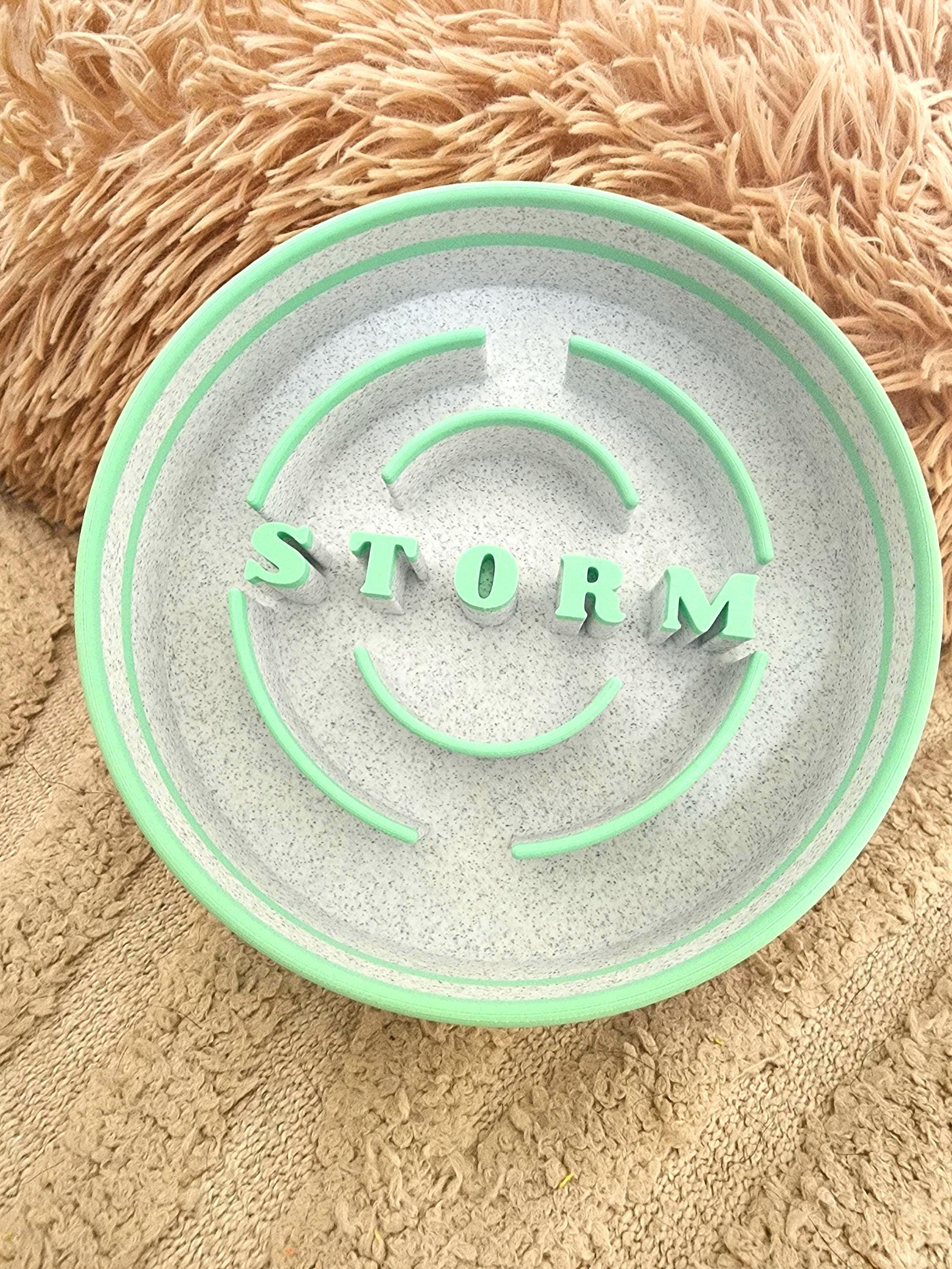 Custom Slow Feeder Pet Bowl